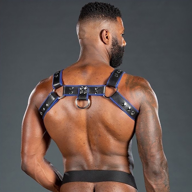 Harnais Bulldog 2.0 Bleu 46406