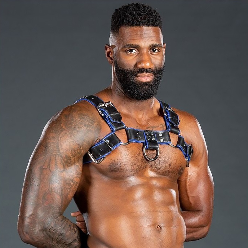 Harnais Bulldog 2.0 Blue 46407