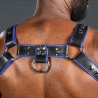 Harnais Bulldog 2.0 Blue