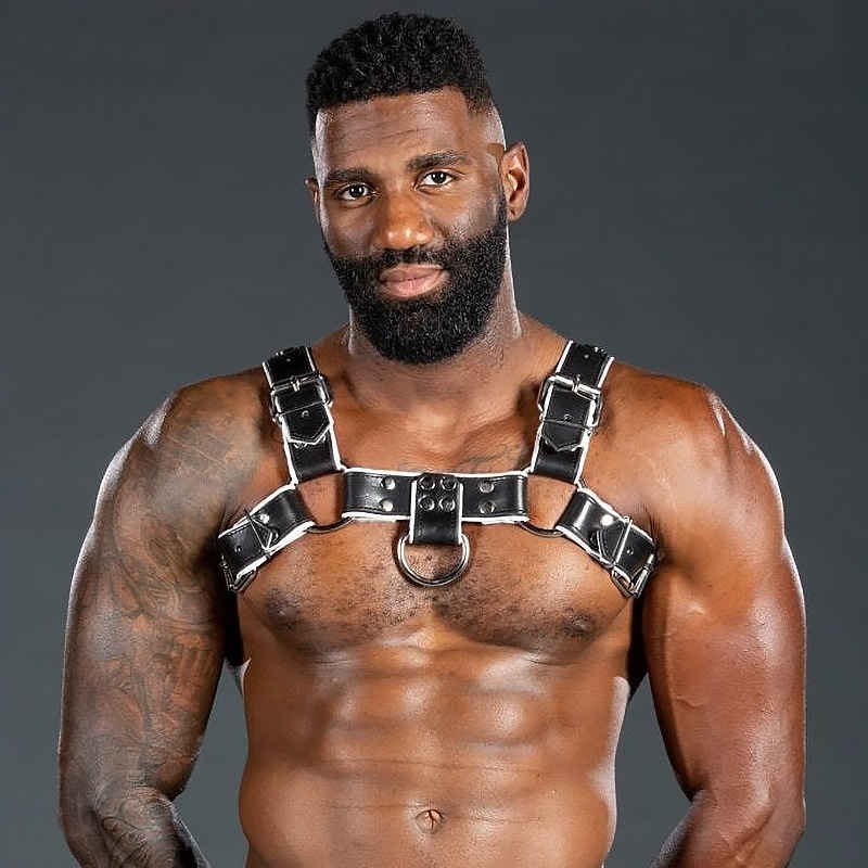 Harness Bulldog 2.0 Weiss 46410