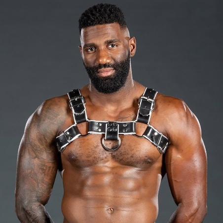 Harnais Bulldog 2.0 Blanc 46410