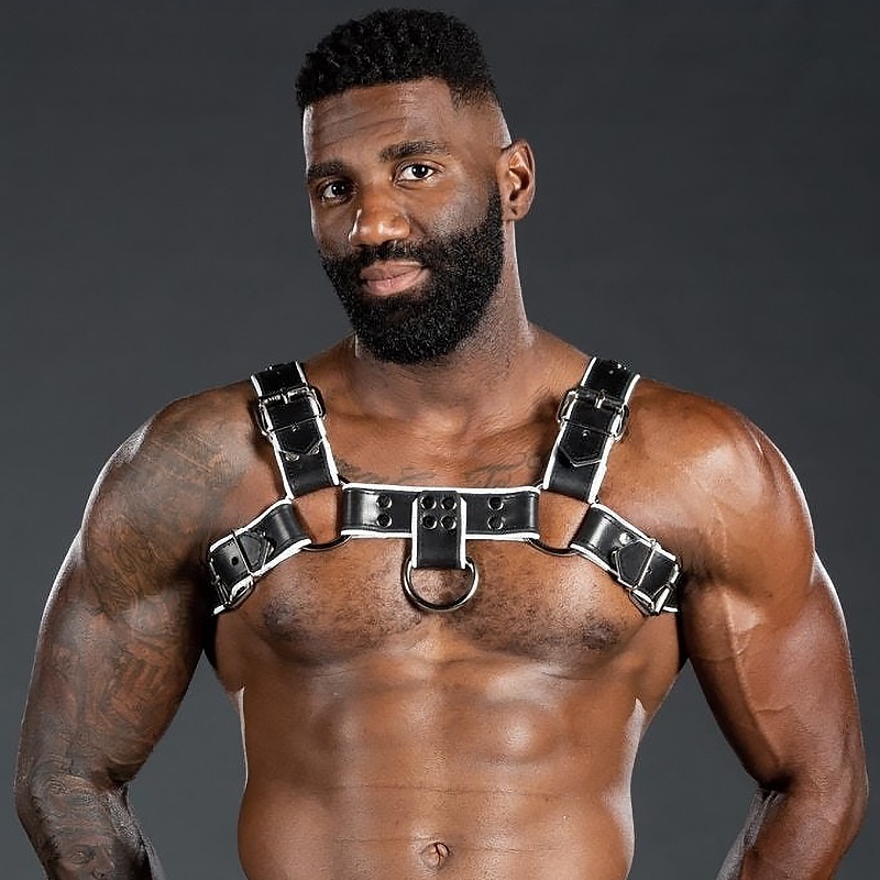 Harnais Bulldog 2.0 Blanco 46412