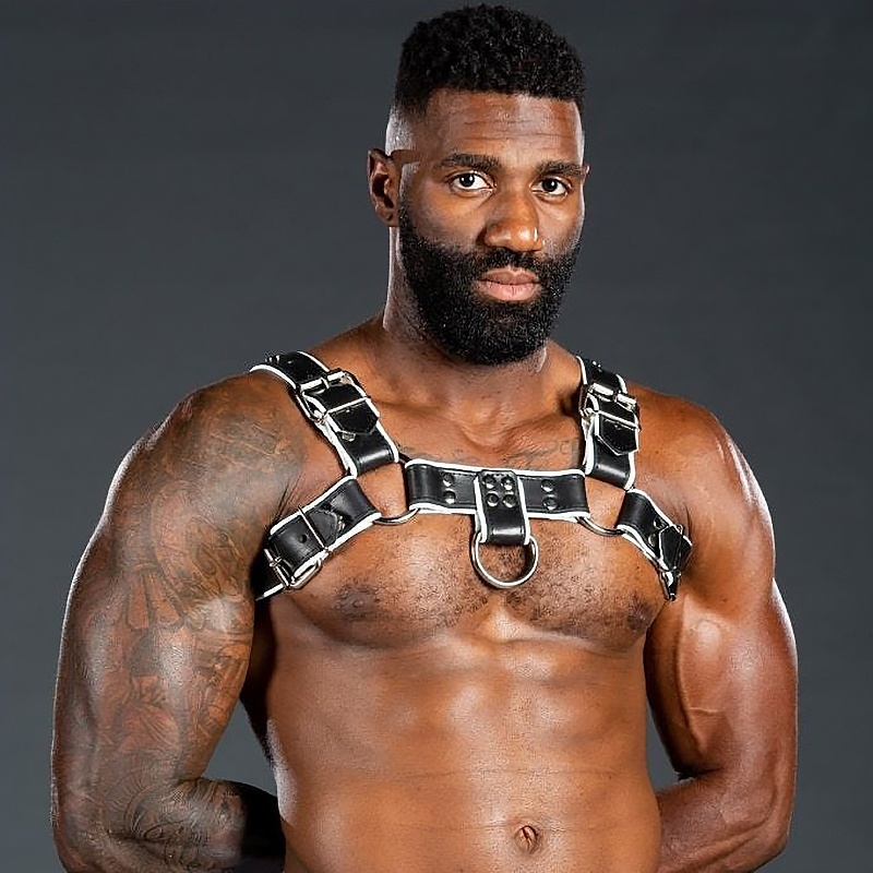 Harnais Bulldog 2.0 Blanc 46413