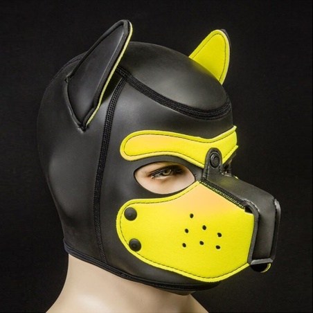 Neo Puppy Hood jaune 46533