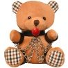 Master Series Gagged Teddy Bear Plush