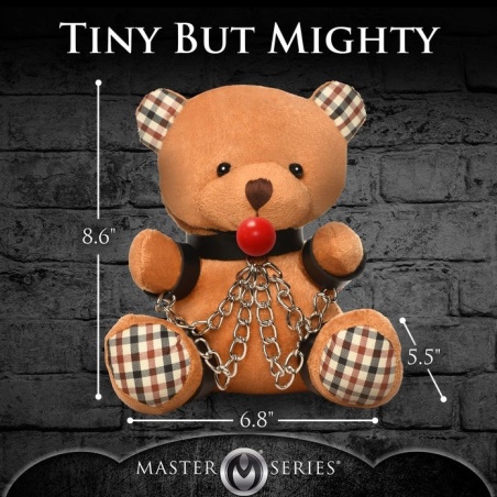 Master Series Gagged Teddy Bear Plush 46786