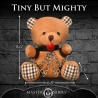 Master Series Gagged Teddy Bear Plush