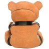 Master Series Gagged Teddy Bear Plush
