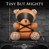 Master Series Rope Bondage Teddy Bear