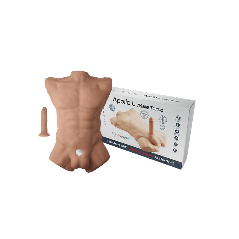 Apollo Male Torso Large 46820