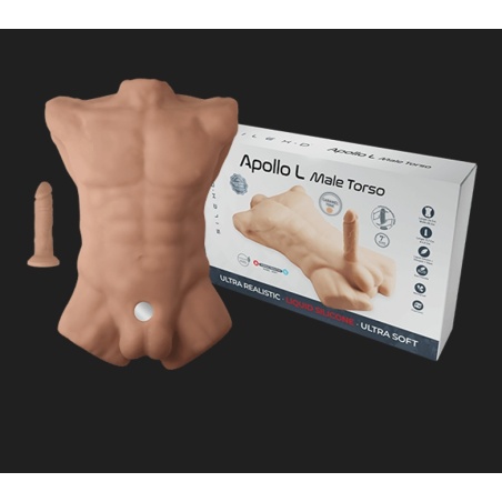 Apollo Male Torso Large 46821