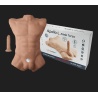 Apollo Male Torso Large