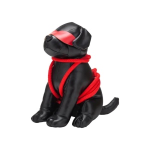 Roped Up Rover Dog
