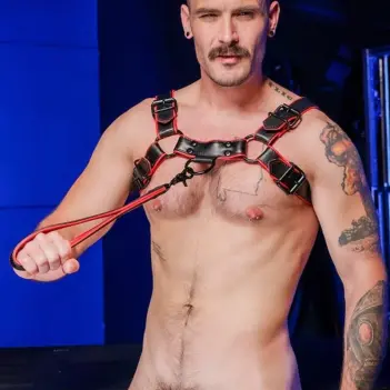 Mr S Leather Hardline short leather leash, 11 colors | Dark-Ink