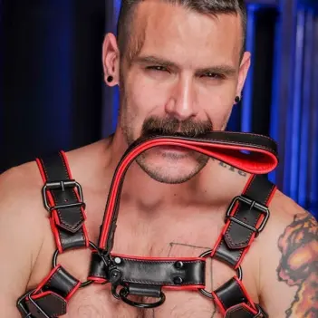 Mr S Leather Hardline short leather leash, 11 colors | Dark-Ink
