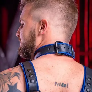 Lederhalsband Hardline Mr S Leather, schwarz, 11 Farben | Dark-Ink