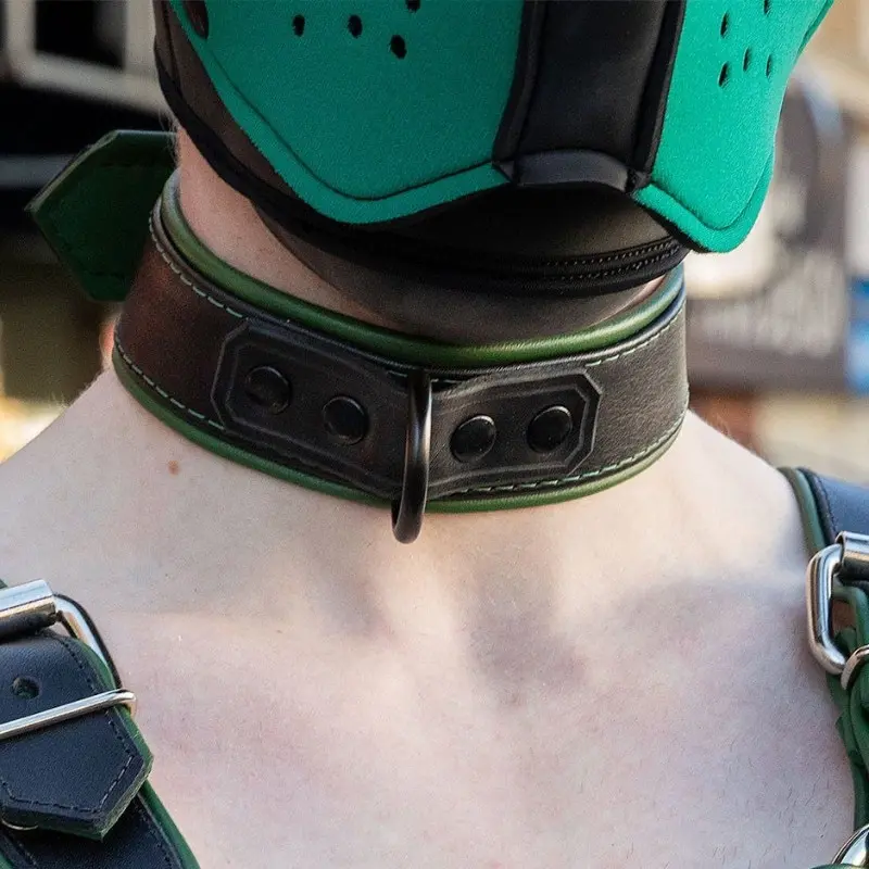 Collar de cuero Hardline Mr S Leather, herrajes negros | Dark-Ink
