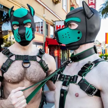 Collar de cuero Hardline Mr S Leather, herrajes negros | Dark-Ink