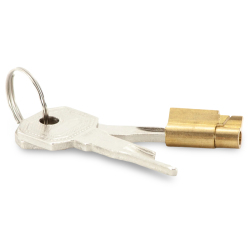 Standard Lock 2 Keys