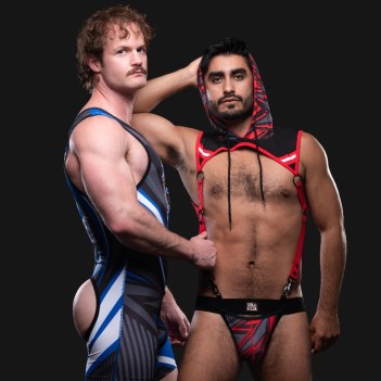 Kennel club lightning hoodie harness