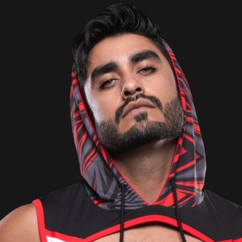 Kennel club lightning hoodie harness