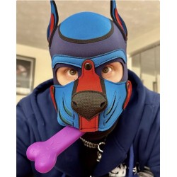 JETPUP CHEW TOY BONE