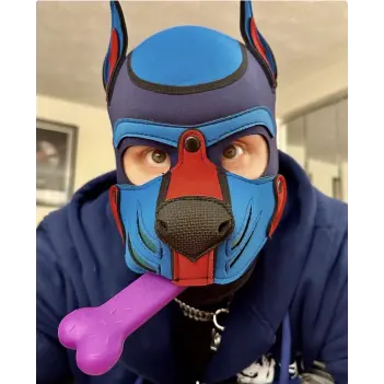 Chew Toy os JetPup en silicone alimentaire, 8 coloris | Dark-Ink