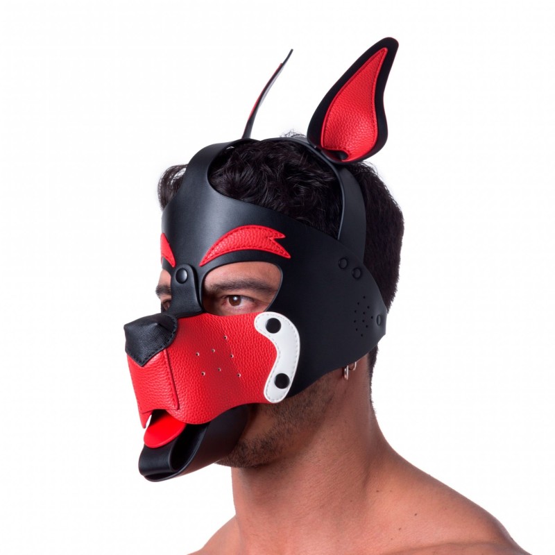 665 Playful pup hood