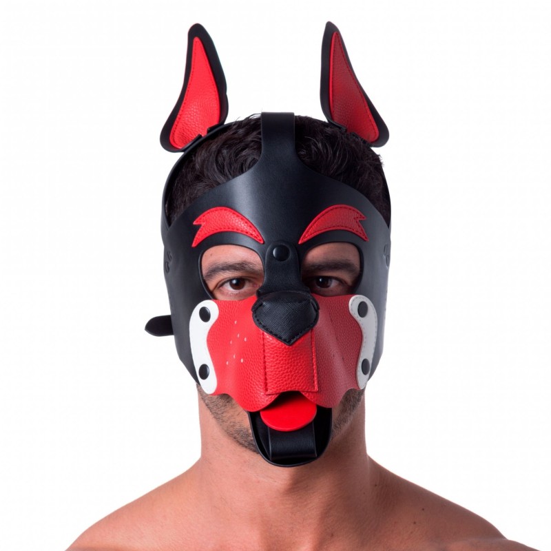 Playful pup hood