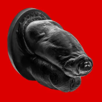 Hankey's Toys Doppel-Dildo, zwei Knoten-Köpfe, 4 Größen | Dark-Ink