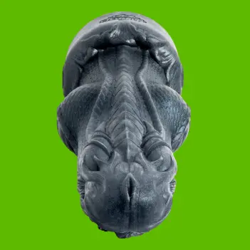 Dildo fantasy Knaughty Dragon Hankey's Toys, nudo basal | Dark-Ink