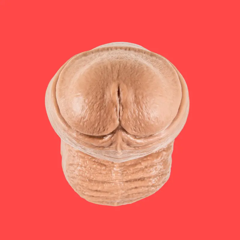 Hankey's Toys Machoman Realistic Dildo, uncut lifecast | Dark-Ink