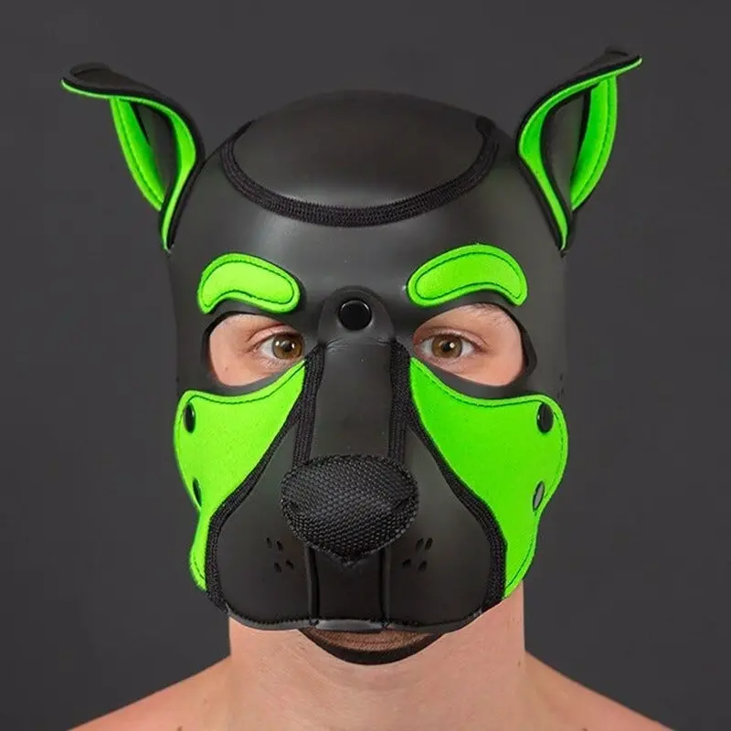 Capucha puppy Frisky Lime Mr S Leather, anilla carabiner | Dark-Ink