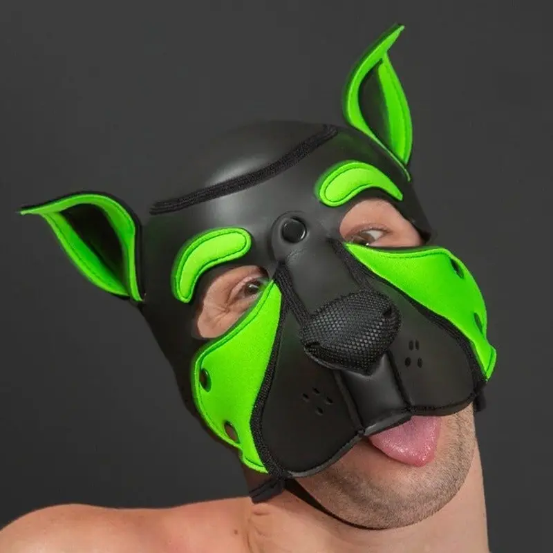 Capucha puppy Frisky Lime Mr S Leather, anilla carabiner | Dark-Ink