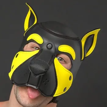 Capucha puppy Frisky Yellow Mr S Leather, orificios orejas | Dark-Ink