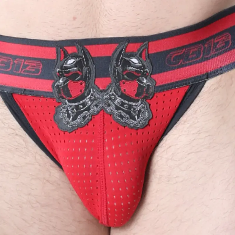 Singlet chaps Dark Pup CB13 Red, mesh rouge spandex noir | Dark-Ink
