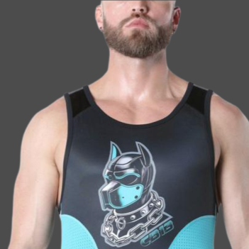 Kennel Club Dark Pup singlet chaps Turquoise