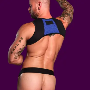 Harnais néoprène Archer Mr S Leather, panneaux colorés | Dark-Ink
