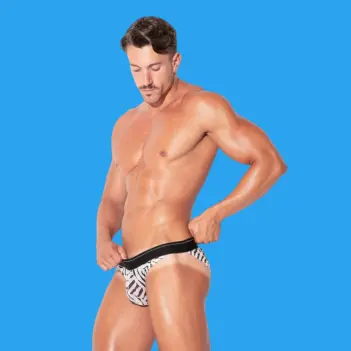 CODE 22 Savanna Tulle Brief: Sheer Zebra Print | Dark-Ink