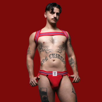 Tight End Elastic Harness