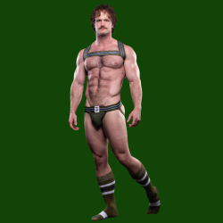 Tight End Elastic Harness