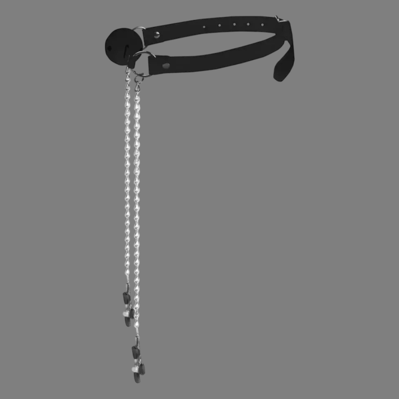 Ball gag with nipple clamps