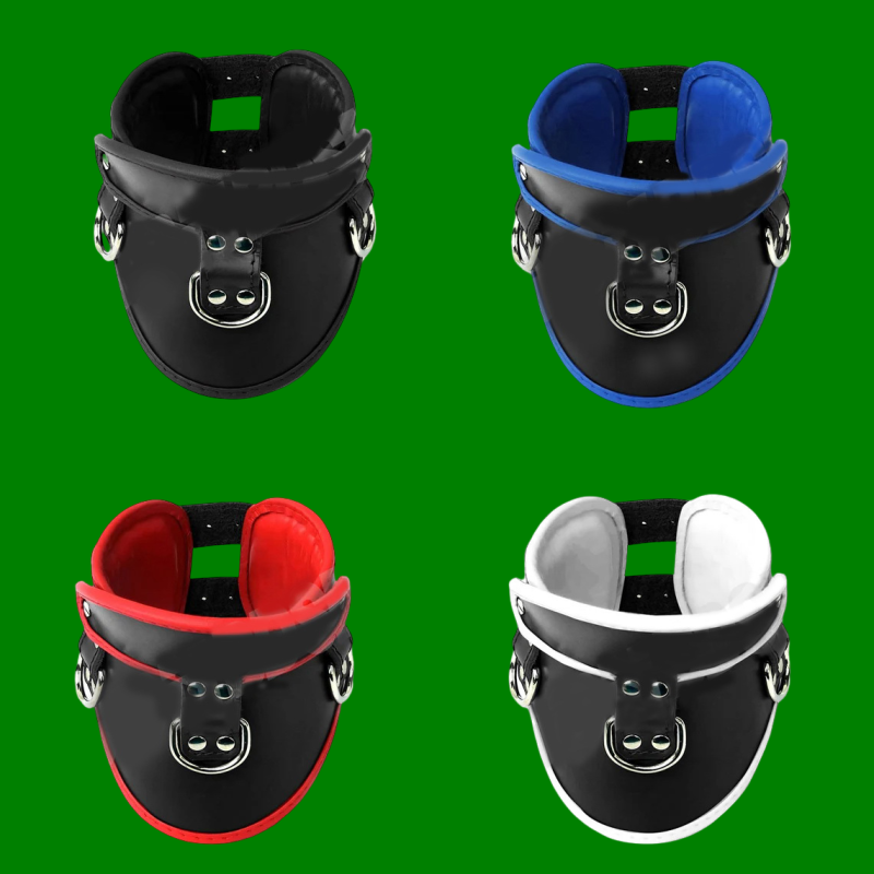 MINERVE PADDED LEATHER POSTURE COLLAR