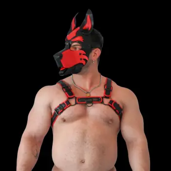 BRUTUS Vegan Leather Puppy Harness, Kunstleder, 4 Schnallen | Dark-Ink