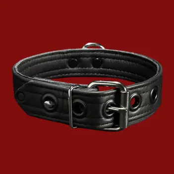 Collar puppy Mr-S-Leather cuero, poste de bloqueo integrado | Dark-Ink