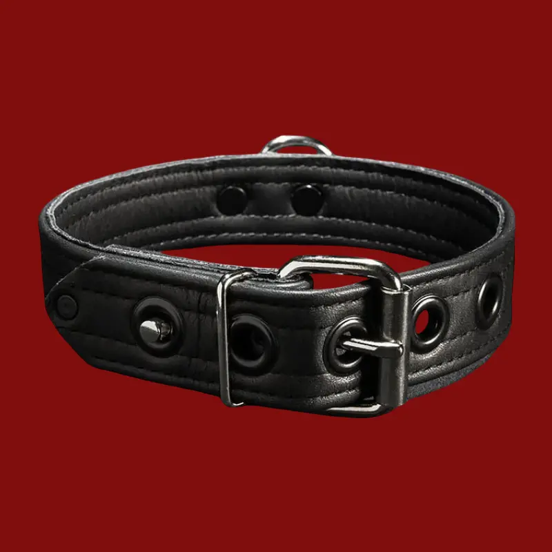 Collar puppy Mr-S-Leather cuero, poste de bloqueo integrado | Dark-Ink