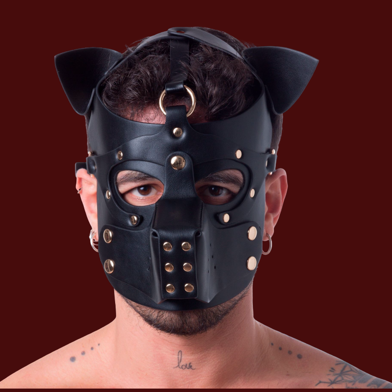 665 Bondage pup hood
