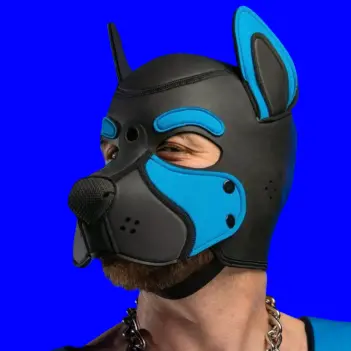 Frisky Aqua Blue Pup Hood Mr S Leather, three-zone color | Dark-Ink