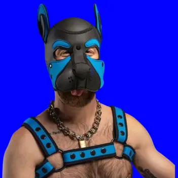 Frisky Aqua Blue Pup Hood Mr S Leather, three-zone color | Dark-Ink