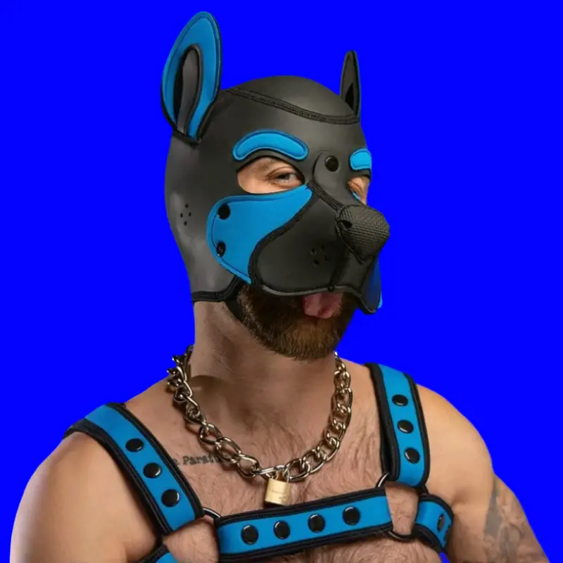 Frisky Aqua Blue Pup Hood Mr S Leather, drei Farbzonen | Dark-Ink